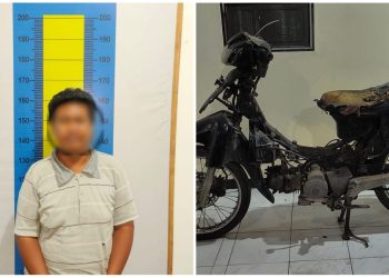 S Alias Babi Dibekuk Polisi, Berikut Kejadiannya
