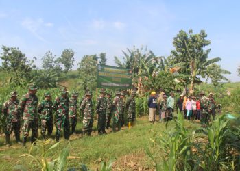 Utamakan Penghijauan, Kini Kodim 0718/Pati Hadir di Wilayah