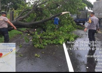 Bergotong Royong Bersihkan Pohon Tumbang, Polsek Margorejo Turun