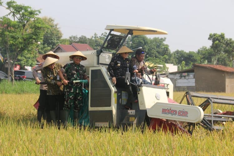 Sinergi TNI dan Petani Dukung Ketahanan Pangan di Pati