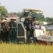 Sinergi TNI dan Petani Dukung Ketahanan Pangan di Pati