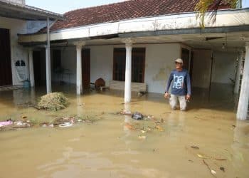 Warga Butuh Logistik, Kades Tunggulsari : 253 Rumah Terendam Air Laut