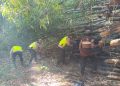 Cegah Sungai Meluap, Polsek Wedarijaksa Bersihkan Dapuran Bambu Tumbang