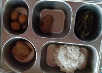 Nilai Gizi MBG Dipertanyakan, Ada Apa?