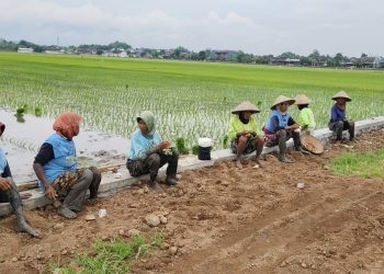 Perbaikan Proyek Talud Rp 200 Juta, Warga Apresiasi Respons Cepat Pemdes Dengkek