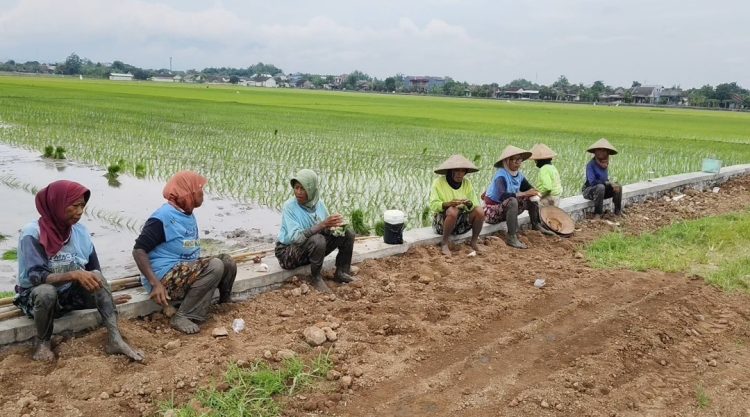 Perbaikan Proyek Talud Rp 200 Juta, Warga Apresiasi Respons Cepat Pemdes Dengkek
