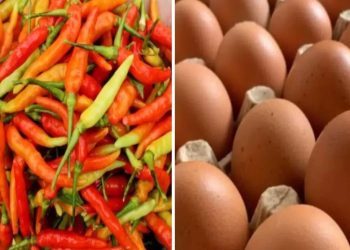 Telur Naik dan Cabai Melonjak, Warga Pati Diminta Tak Panic Buying