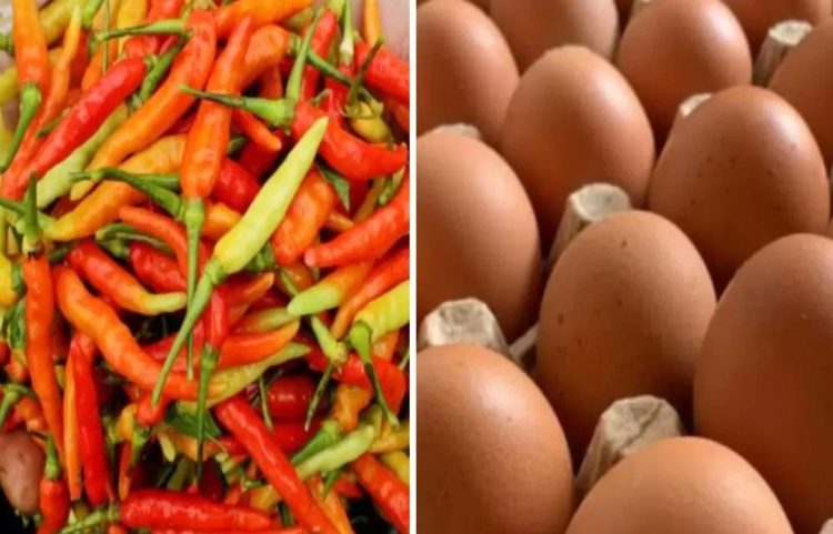 Telur Naik dan Cabai Melonjak, Warga Pati Diminta Tak Panic Buying