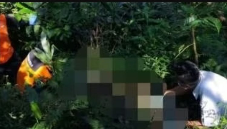 VIRAL! Mayat Tinggal Kerangka Ditemukan di Hutan Perhutani Pati