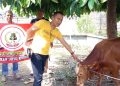 Pererat Silaturahmi, Ketut : Pembagian Ratusan Daging Qurban Disambut Warga