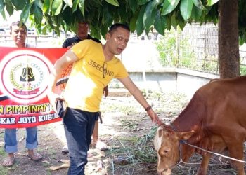 Pererat Silaturahmi, Ketut : Pembagian Ratusan Daging Qurban Disambut Warga