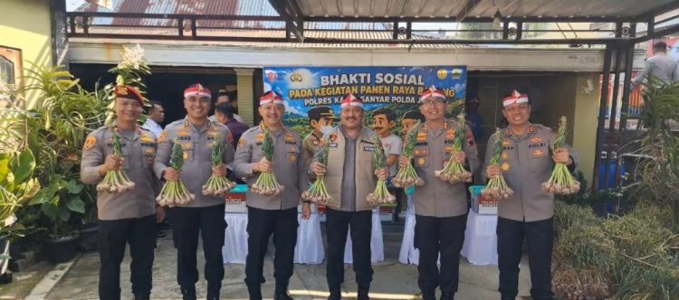 Dirsiber Polda Jateng Ikut Panen Bawang