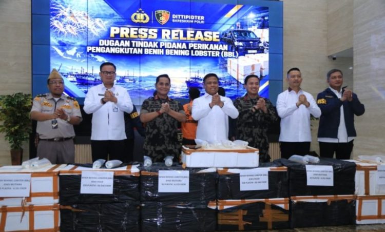 13 Boks BBL Diamankan, Dittipidter Bareskrim Polri Bongkar Dugaan Penyelundupan Benih Lobster di Depok