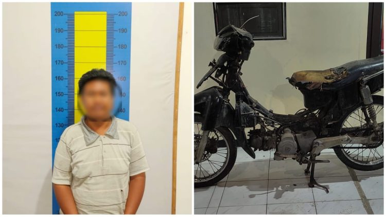 S Alias Babi Dibekuk Polisi, Berikut Kejadiannya