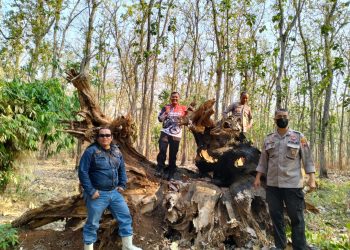 Antisipasi Lahan Hutan, Patroli Gabungan Turun ke Wilayah