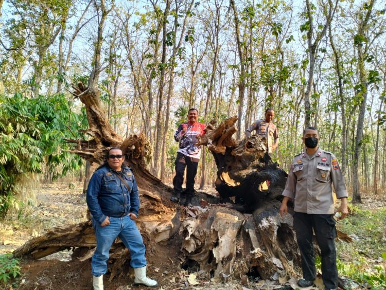 Antisipasi Lahan Hutan, Patroli Gabungan Turun ke Wilayah