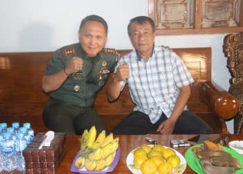 Dandim 0718/Pati : Wujudkan Sinergitas Bersama di Desa