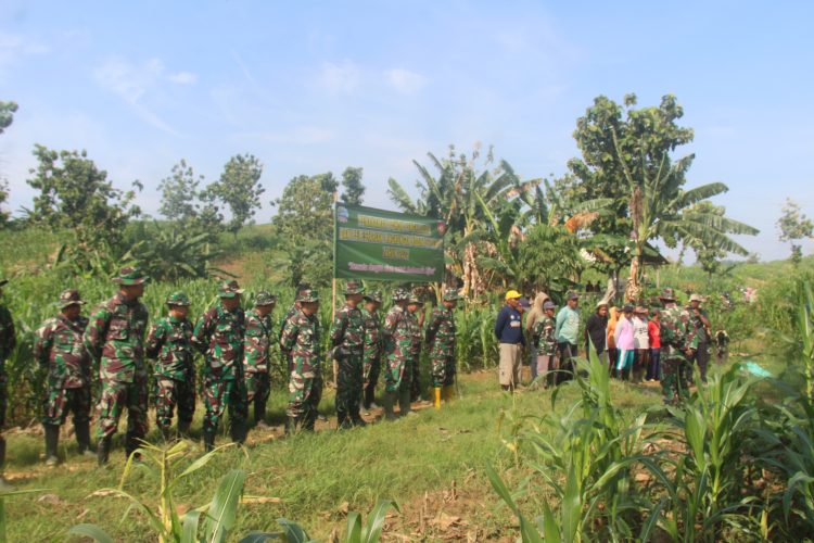 Utamakan Penghijauan, Kini Kodim 0718/Pati Hadir di Wilayah