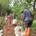 Tanggul Jebol Akibat Curah Hujan, TNI dan Warga Turun Perbaiki