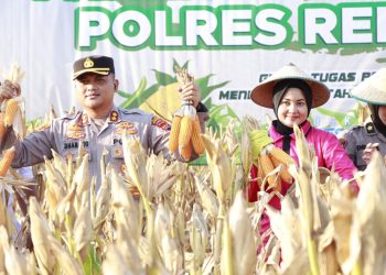 Panen Raya Jagung, Polres Rembang Perkuat Ketahanan Pangan Daerah