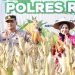 Panen Raya Jagung, Polres Rembang Perkuat Ketahanan Pangan Daerah