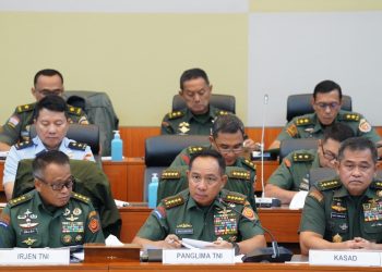 Revisi UU TNI, Kebutuhan Strategis dan Tantangan Implementasi