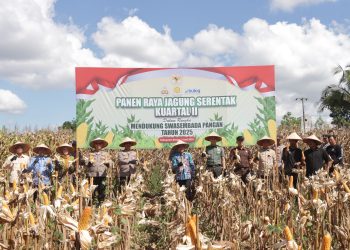 Panen Raya Jagung, Komitmen Kapolres Banjar Dukung Swasembada Pangan Nasional