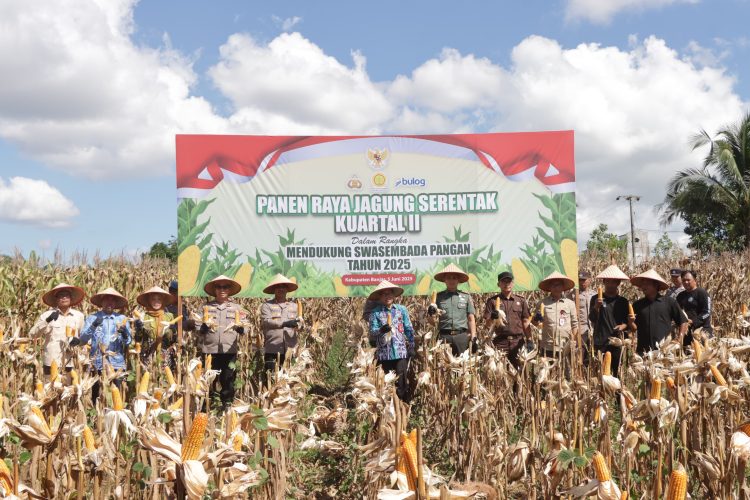 Panen Raya Jagung, Komitmen Kapolres Banjar Dukung Swasembada Pangan Nasional