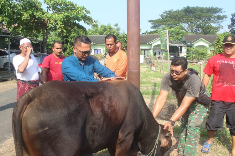 Kodim Pati Serahkan Hewan Kurban, Tumbuhkan Kepedulian dan Kebersamaan