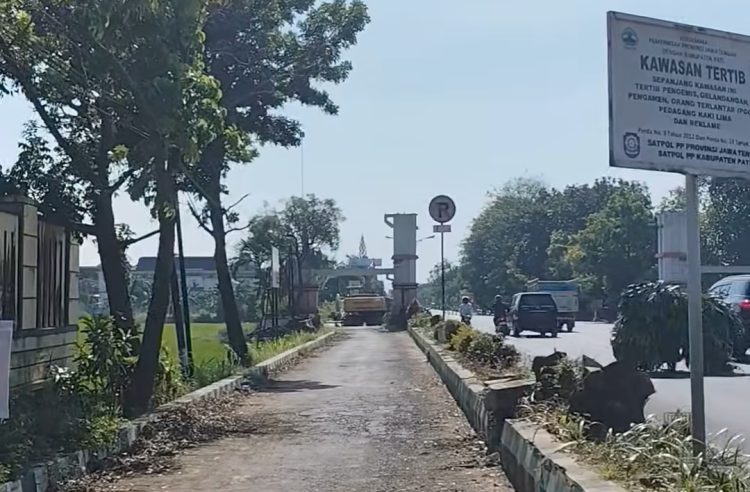 Pohon Tumbang! Masyarakat Melintas Bertanya-tanya, Apakah Jalan Mau Diperlebar?