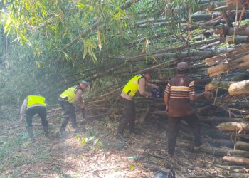 Cegah Sungai Meluap, Polsek Wedarijaksa Bersihkan Dapuran Bambu Tumbang