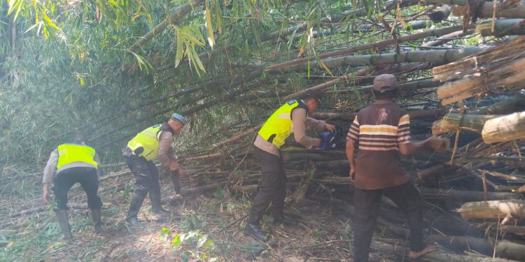 Cegah Sungai Meluap, Polsek Wedarijaksa Bersihkan Dapuran Bambu Tumbang