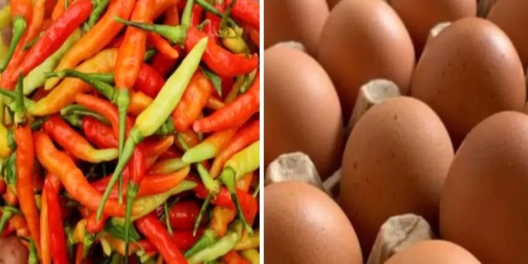 Telur Naik dan Cabai Melonjak, Warga Pati Diminta Tak Panic Buying