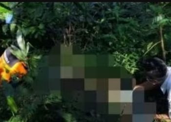 VIRAL! Mayat Tinggal Kerangka Ditemukan di Hutan Perhutani Pati