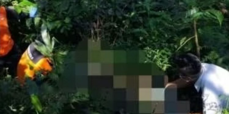 VIRAL! Mayat Tinggal Kerangka Ditemukan di Hutan Perhutani Pati