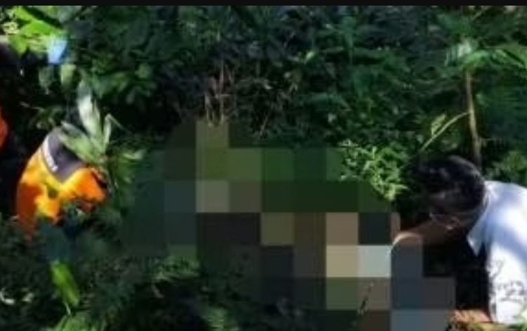 VIRAL! Mayat Tinggal Kerangka Ditemukan di Hutan Perhutani Pati