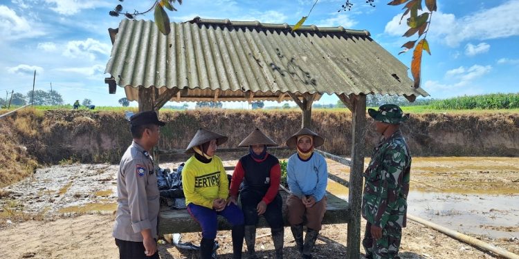 Sinergi TNI – Polri di Program TMMD, Tuai Apresiasi