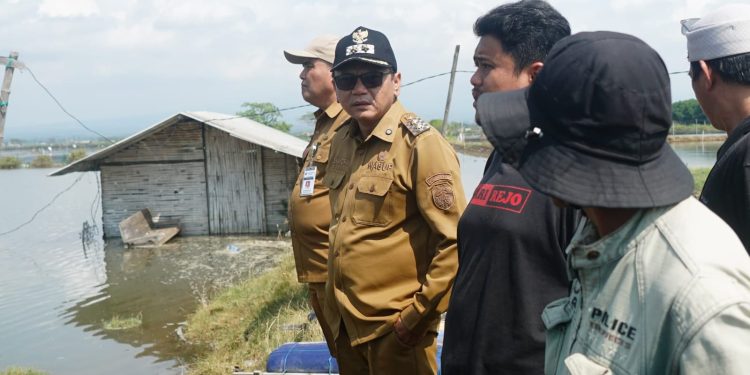 Pemprov dan Pemkab Pati Tangani Rob Tunggulsari, Tanggul Jebol Jadi Prioritas