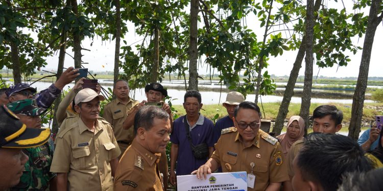 Pemkab Pati Prioritaskan Perbaikan Tanggul Jebol dan Salurkan Bantuan