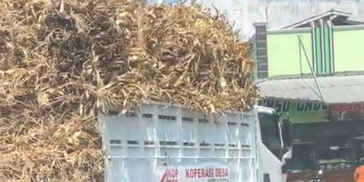Viral! Truk Bantuan KDMP dari Presiden Prabowo Diduga Angkut Klobot Jagung