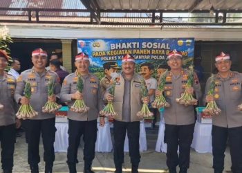 Dirsiber Polda Jateng Ikut Panen Bawang