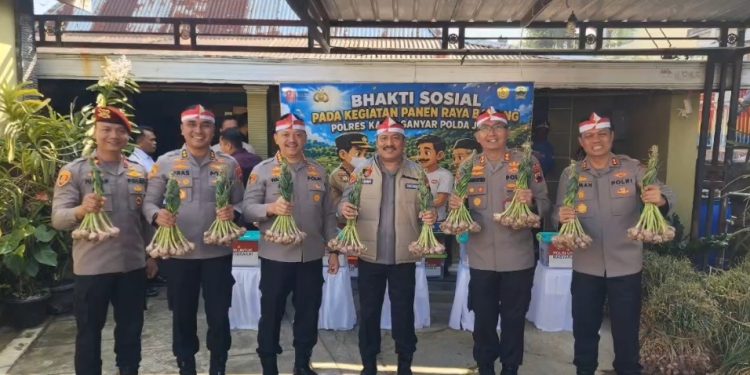 Dirsiber Polda Jateng Ikut Panen Bawang