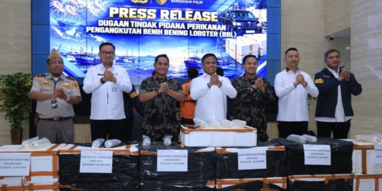 13 Boks BBL Diamankan, Dittipidter Bareskrim Polri Bongkar Dugaan Penyelundupan Benih Lobster di Depok